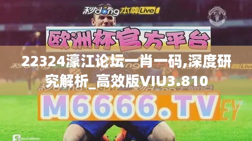 22324濠江论坛一肖一码,深度研究解析_高效版VIU3.810