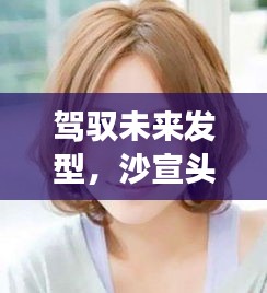第1564页