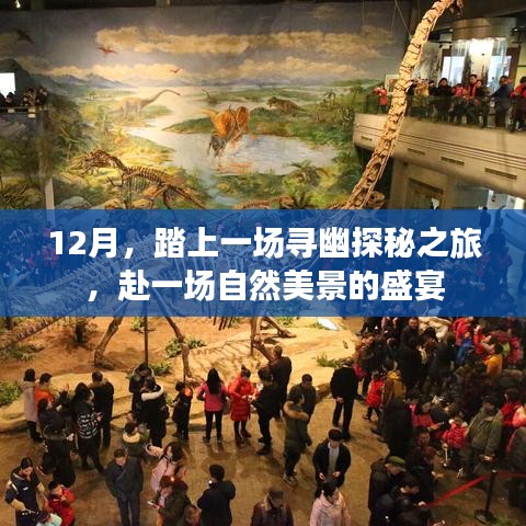 12月寻幽探秘之旅，自然美景的盛宴
