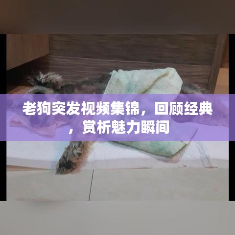 眼空四海 第2页