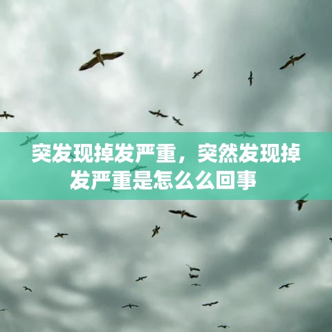 突发现掉发严重，突然发现掉发严重是怎么么回事 