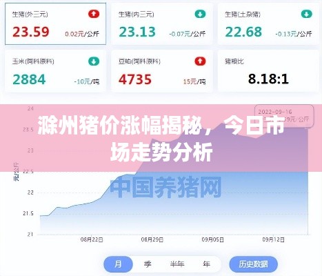 资料大全 第69页