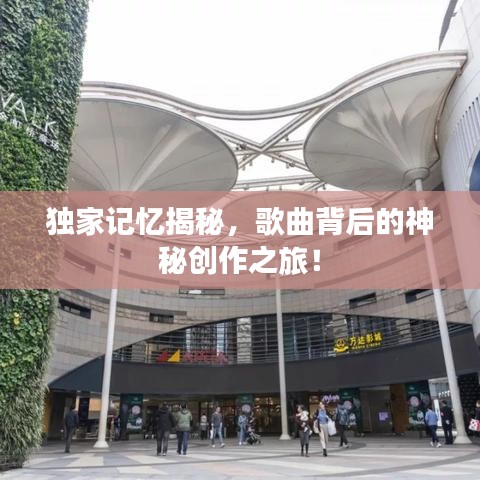 独家记忆揭秘，歌曲背后的神秘创作之旅！