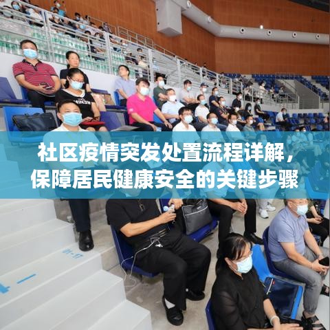 社区疫情突发处置流程详解，保障居民健康安全的关键步骤