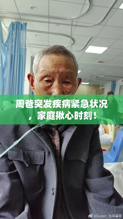 资料大全 第36页