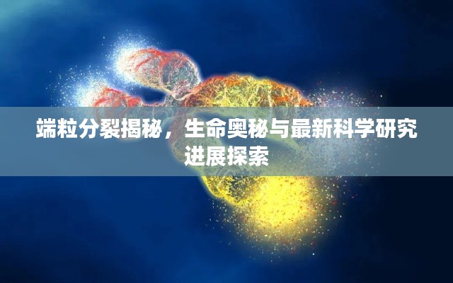 端粒分裂揭秘，生命奥秘与最新科学研究进展探索