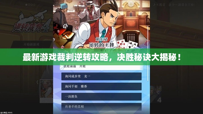 纲挈目张