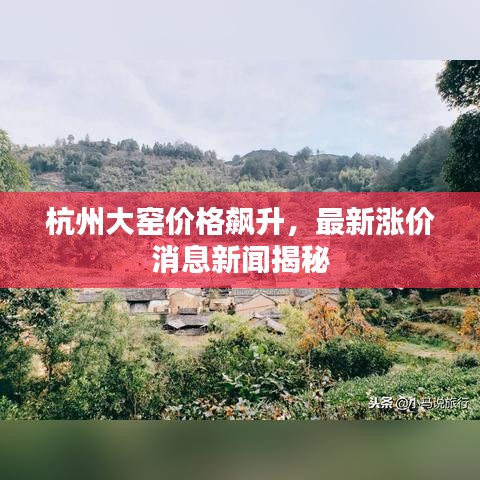 杭州大窑价格飙升，最新涨价消息新闻揭秘