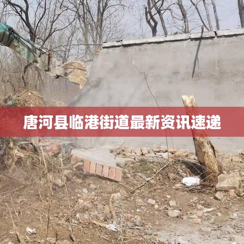 唐河县临港街道最新资讯速递