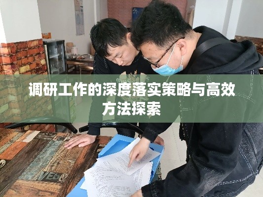 调研工作的深度落实策略与高效方法探索