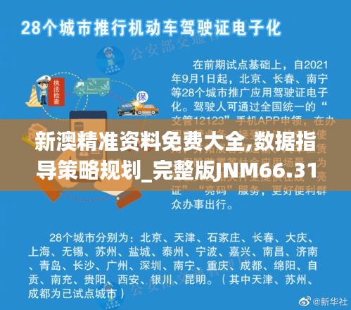 新澳精准资料免费大全,数据指导策略规划_完整版JNM66.315