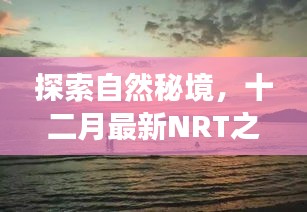 售后保障 第283页