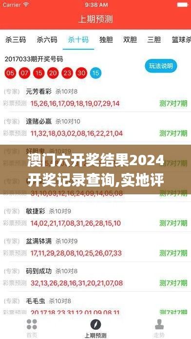 澳门六开奖结果2024开奖记录查询,实地评估说明_nShop64.896-7
