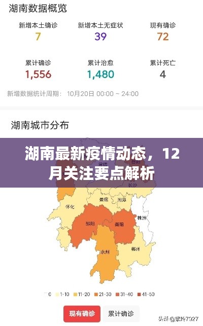 设计团队 第247页