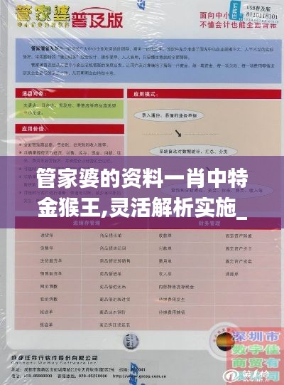 管家婆的资料一肖中特金猴王,灵活解析实施_WP85.730