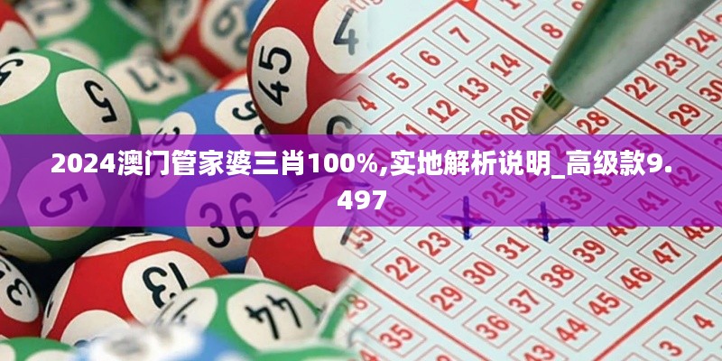 2024澳门管家婆三肖100%,实地解析说明_高级款9.497