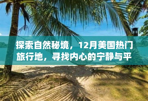 貌美如花 第4页