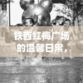 铁西红梅广场，趣事与友情的温馨绽放日 2024年12月6日