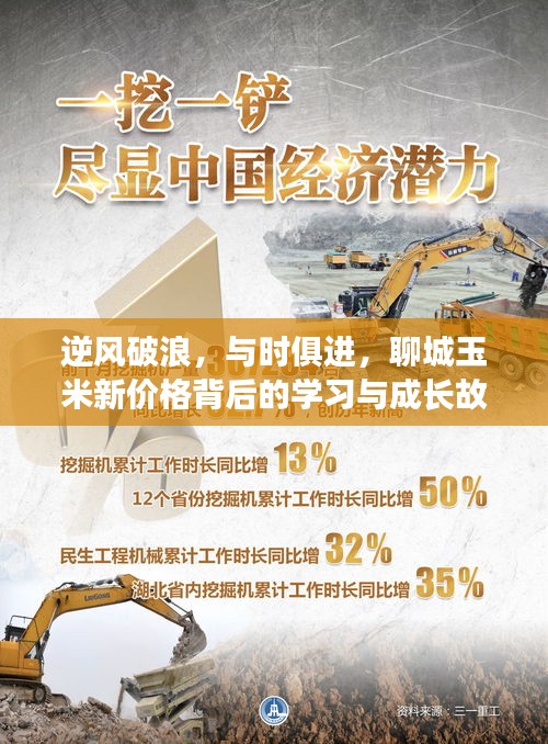 逆风破浪，与时俱进，聊城玉米新价格背后的成长故事