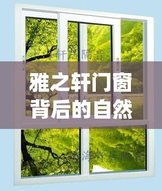 飞黄腾踏 第3页