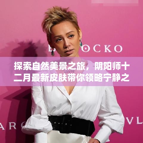 钗荆裙布 第3页
