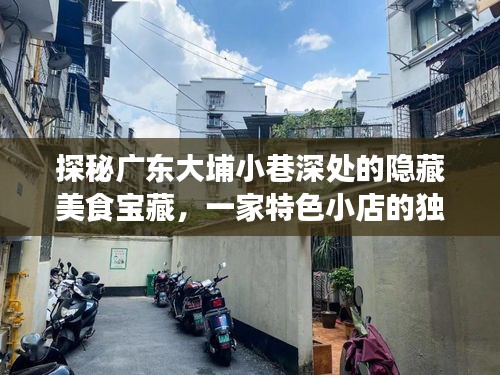 张牙舞爪 第3页