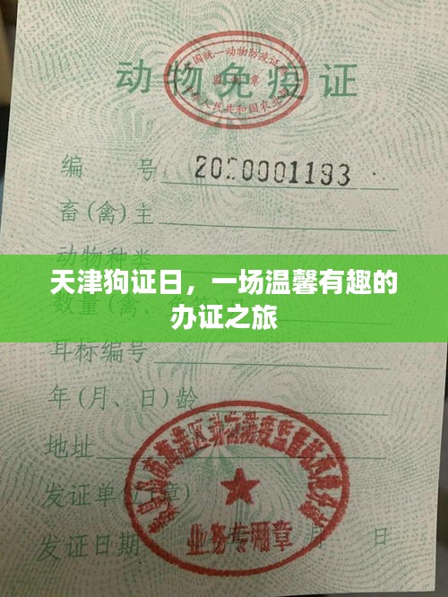 神清气朗 第3页