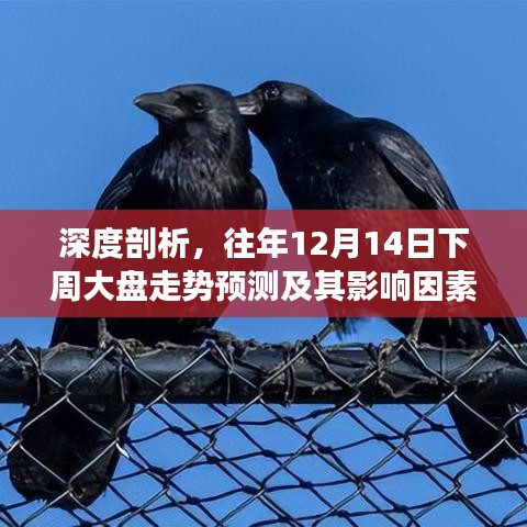 影响因素探讨
