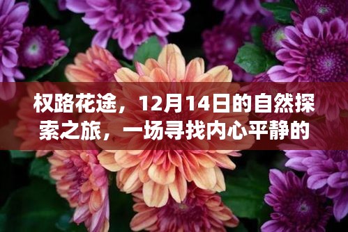 观往知来 第3页