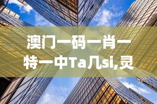 售后保障 第171页