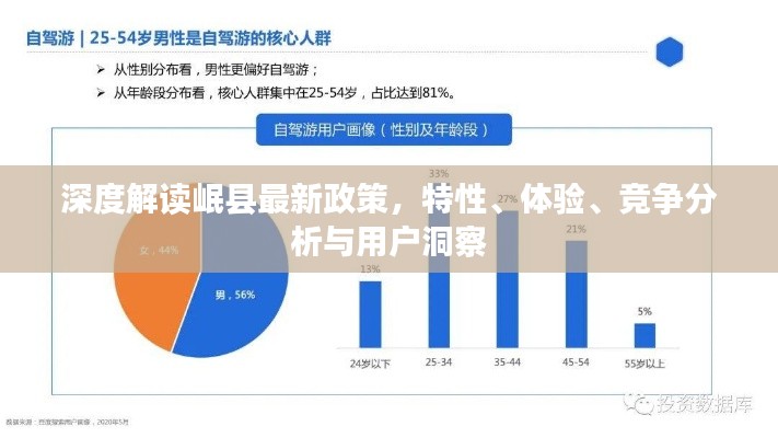 深度解读岷县最新政策，特性、体验、竞争分析与用户洞察全解析