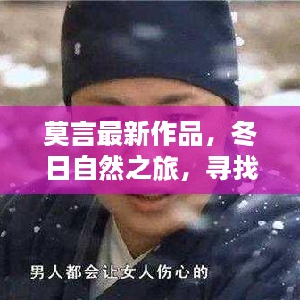 追寻宁静