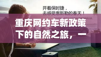初告白 第2页