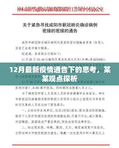 某某观点深度探析