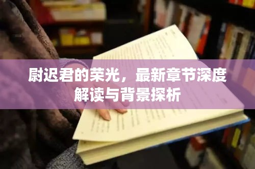 背景探析