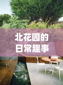 一花独放 第3页