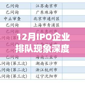 市场热度