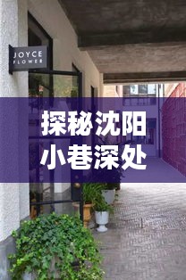 独特魅力探索