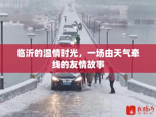 临沂温情时光，天气牵线的友情故事