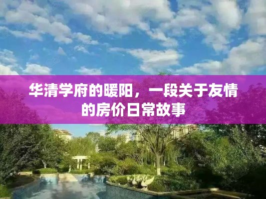 华清学府的暖阳，友情与房价的温馨日常故事