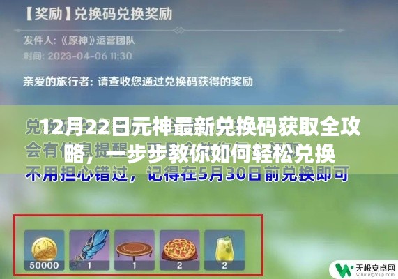 12月22日元神最新兑换码获取攻略，轻松兑换步骤全解析