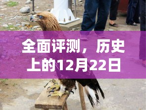 竞品对比