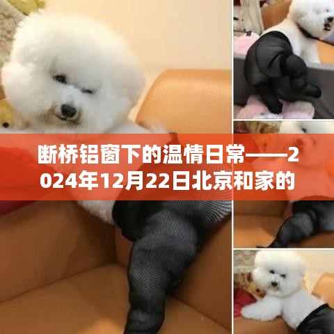 断桥铝窗下的温馨日常，北京和家的欢乐时光（2024年12月22日）