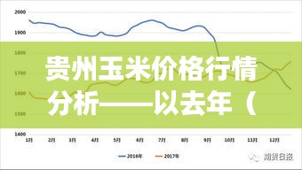 贵州玉米价格行情分析——去年（往年）12月22日的市场观察
