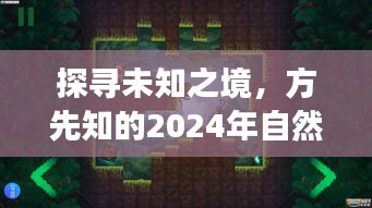 自然秘境