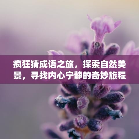 成语探秘之旅，自然美景与内心宁静的奇妙交融