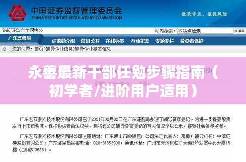 从初学者到进阶用户