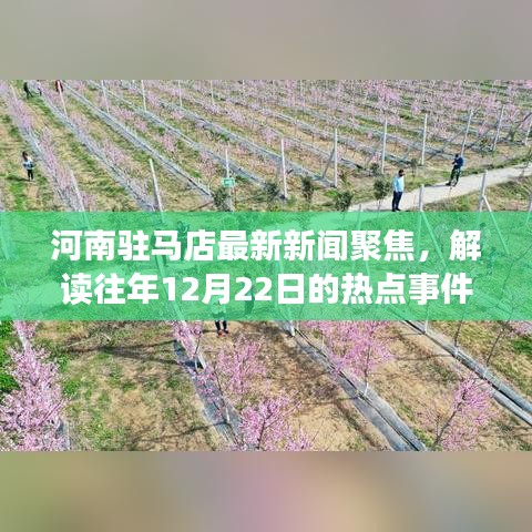 影响