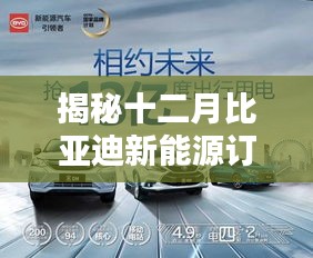 揭秘十二月比亚迪新能源订单狂潮，未来出行的新趋势展望