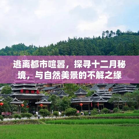 逃离都市喧嚣